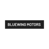 Bluewing Motors Korea - Scaleup Program Mind the Bridge