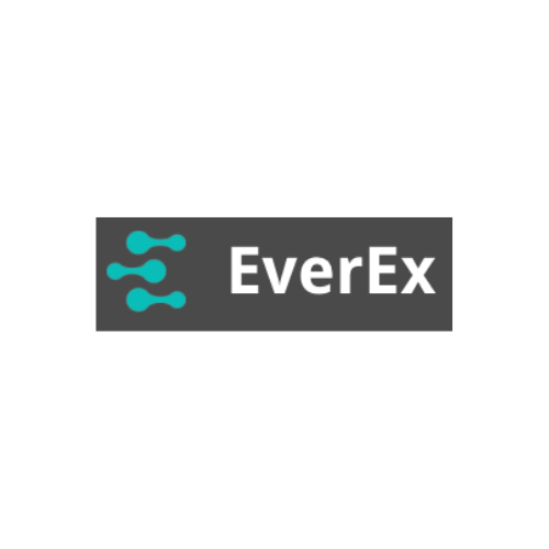 EverEx Korea Mind the Bridge