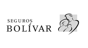bolivar partner